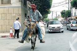 يبدو أنه لايزال هناك من يفضل وسائل النقل التقليدية، كما هو حال هذا البدوي الذي يرفض التنقل في الحافلات، وفضل الاحتفاظ بحماره في المدينة.