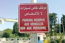 الصورة تبين درجة تفشي ظاهرة “الحيطيست” في الجزائر…