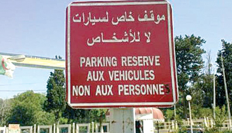 الصورة تبين درجة تفشي ظاهرة “الحيطيست” في الجزائر…