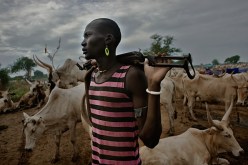 أكثر من 200 قتيل بسبب سرقة ماشية في جنوب السودان