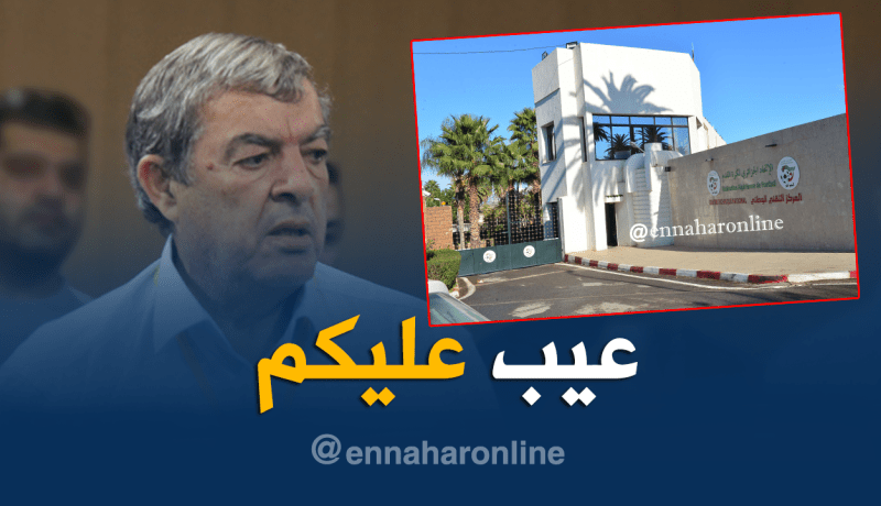 حناشي: “عيب ما تقوم به “الفاف”.. تريد تكسير الجياسكا”