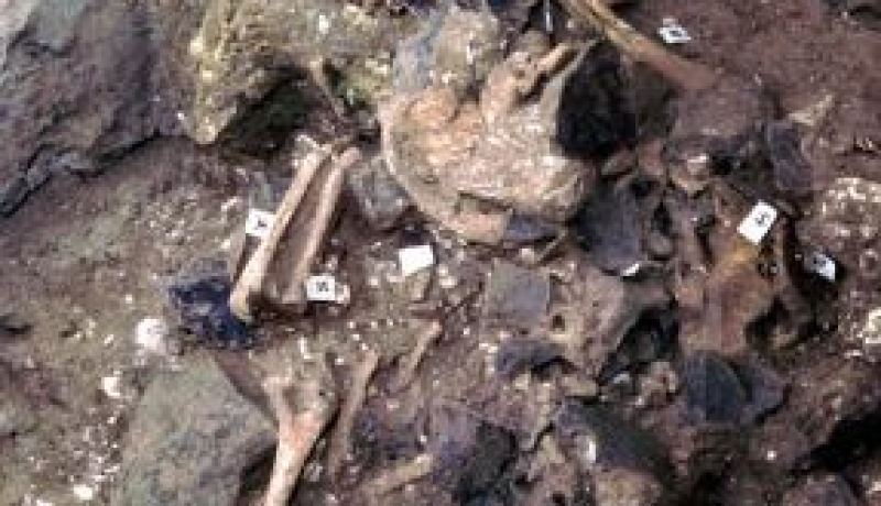 العثور على بقايا هياكل عظمية بشرية عمرها أكثر من 50 سنة