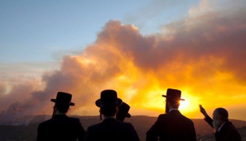 الصهاينة يحترقون و9 دول تشارك في إخماد النيران