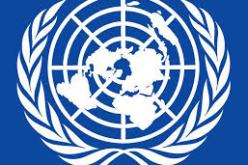 الأمم المتحدة تعلن عن مقتل 170 فلسطينيا على يد قوات الإحتلال الإسرائيلي خلال سنة 2015