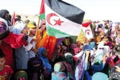 الشعب الصحراوي متمسك بحقوقه وسيستمر في  نضاله إلى غاية تحقيق استقلاله