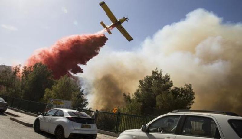 دولتان عربيتان تشاركان في إخماد حريق الأراضي الفلسطينية المحتلة