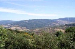 مجموعة إرهابية تهاجم محطة للإرسال الإذاعي بجنودبة في تونس