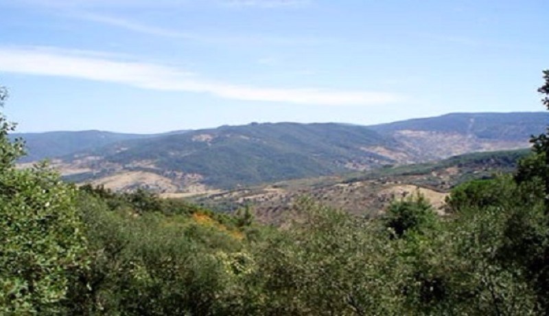 مجموعة إرهابية تهاجم محطة للإرسال الإذاعي بجنودبة في تونس