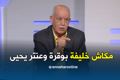 بالفيديو.. سعدان:”لم نحضّر لخلافة بوقرة وعنتر يحيى”