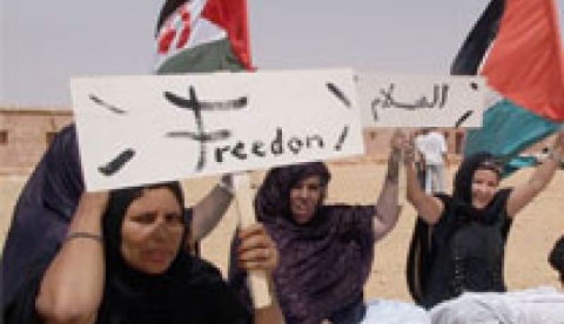 السالم ولد السالك يدعو المجتمع الدولي لدعم حق الشعب الصحراوي في تقرير مصيره