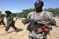 13قتيلا في هجوم للمتمردين على حاجز للجيش السوداني