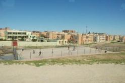 تجسيد عدة عمليات لحماية الحزام الأخضر بالبيض