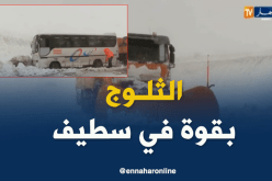 كاسحات الثلوج لفتح الطرقات في سطيف