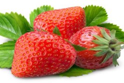 الفراولة تنعش الذاكرة و تفيد مرضى السكري