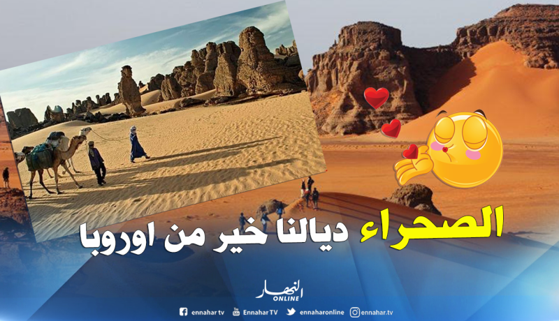 الجزائريون بشعار “الصحراء أحسن من أوروبا”