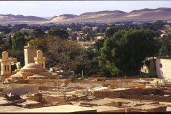 تحفيزات هامة وضعتها الدولة لترقية الإستثمار بولايات الجنوب والهضاب