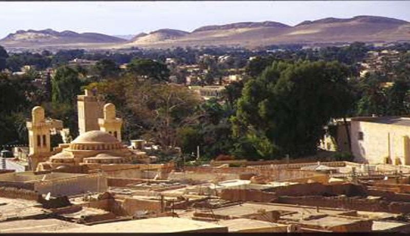 تحفيزات هامة وضعتها الدولة لترقية الإستثمار بولايات الجنوب والهضاب