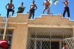 كريم ينتحر بسبب غزة و أمال تطلب من السلطات إحضار حبيبها