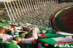 كرد فعل من الأنصار على فشل‮ ‬الخضر ‬في‮ ‬التأهل لكان 2012