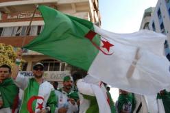 لم نتوصل لاتفاق واضح حول كيفية نقل أنصار الخضر إلى أنغولا