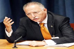 منظمة التعاون الإسلامي تعارض التدخل العسكري في سوريا