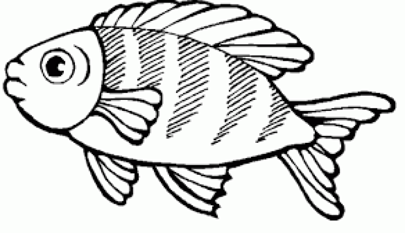 النهار توقع أزيد من 40 ألف شخص في سمكة أفريل