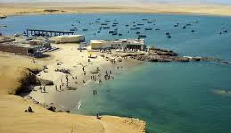 سباحة أمريكية تبلغ 62 عاما تفشل في السباحة من كوبا إلى شواطيء بلادها بسبب الأمواج