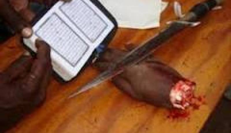 نيجيري تقطع يده بتهمة السرقة في مكة