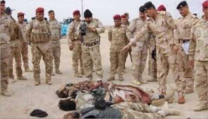 مقتل سبعة عناصر من تنظيم “داعش” في قصف جوي  شمال العراق