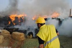 حريق يتلف حوالي 10 ألاف حزمة تبن ببلدية حاسي فدول