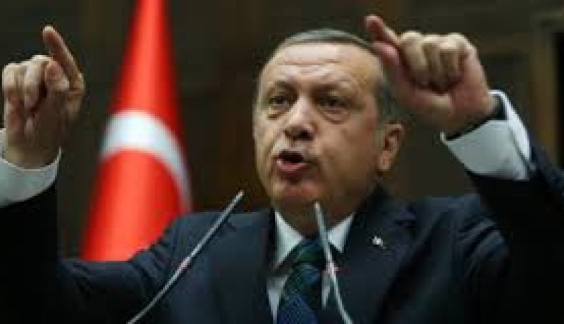 أردوغان يؤكد أن بلاده ستتجه إلى إنتخابات مبكرة