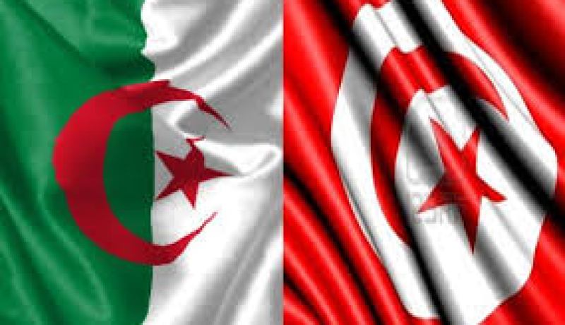 الجزائر تطلب الخبرة التونسية في ترميم البناء القديم والسياحة
