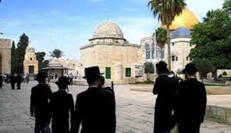 عشرات المستوطنين اليهود يقتحمون ساحات المسجد الأقصى بمناسبة عيد الانوار