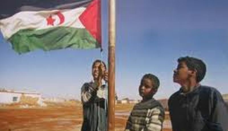 انطلاق أشغال الندوة الدولية حول حق الشعوب في المقاومة بالصحراء الغربية