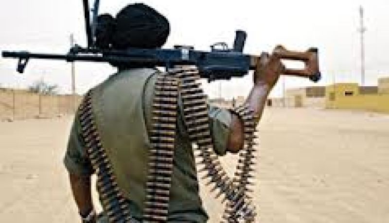 الامين العام لمنظمة التعاون الاسلامي يدعو لوقف النار في مالي