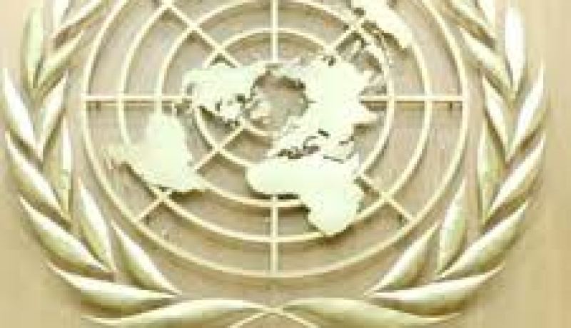 الأمم المتحدة تصادق على الاقتراح الجزائري حول الاحتفال باليوم العالمي للغابات سنويا