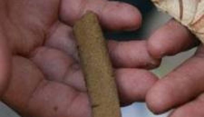 ايقاف شخصين يروجان المخدرات بالبليدة