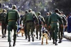 قيادة الدرك الوطني تتخذ جميع الإجراءات والترتيبات الأمنية بمناسبة رأس السنة الميلادية