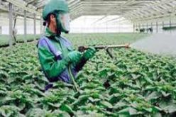 حجز أزيد من 95 قنطارا من الأسمدة الفلاحية “الخطيرة” بالداموس