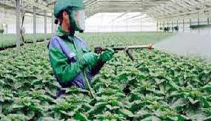 حجز أزيد من 95 قنطارا من الأسمدة الفلاحية “الخطيرة” بالداموس