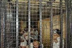 تأييد أحكام بالإعدام بحق 14 جهاديا بمصر