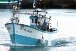 فقدان أربعة صيادين في عرض البحر ببوهارون في تيبازة