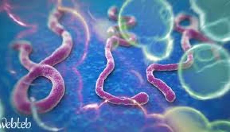 الحماية المدنية بصدد وضع ترتيب للتكفل بحالات محتملة لإيبولا