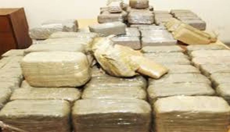 حجز أكثر من 16 قنطارا من الكيف المعالج في تلمسان