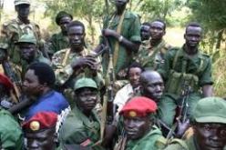 المتمردون في افريقيا الوسطى يعلنون الاستيلاء على مدينتين اخريين