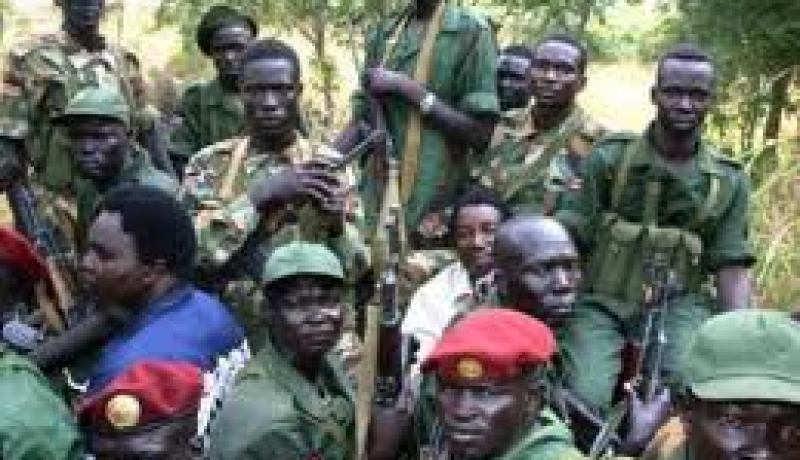 المتمردون في افريقيا الوسطى يعلنون الاستيلاء على مدينتين اخريين