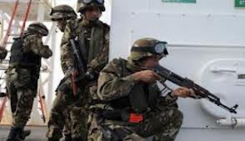 البريطانيون الناجون يشيدون بالقوات الخاصة للجيش الوطني الشعبي