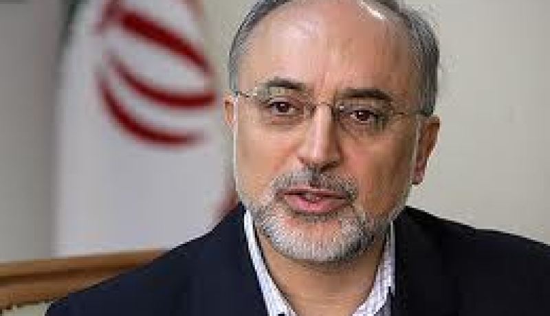 صالحي: لن نسمح بإسقاط الأسد