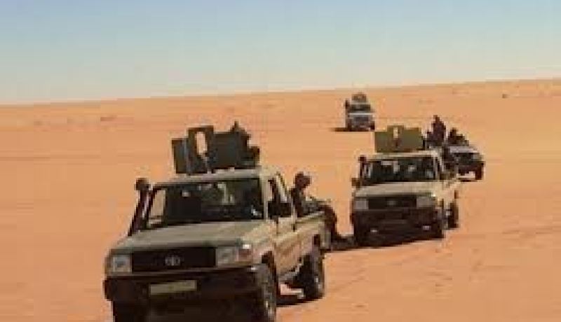 المانيا تستبعد ارسال جنود الى مالي