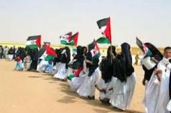 العماري يؤكد على الدور الهام للبرلمانيين في دعم القضية الصحراوية